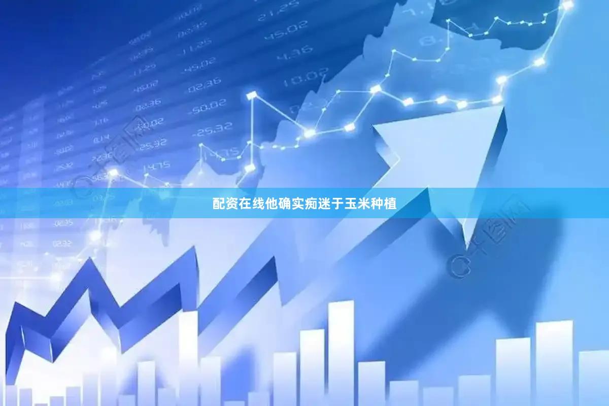 配资在线他确实痴迷于玉米种植