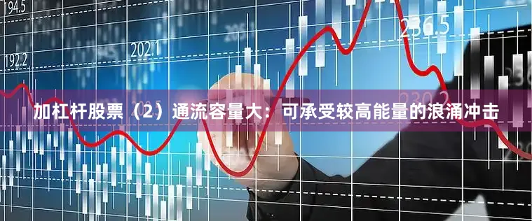 加杠杆股票（2）通流容量大：可承受较高能量的浪涌冲击