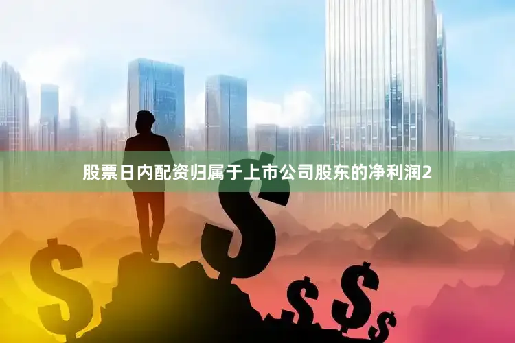 股票日内配资归属于上市公司股东的净利润2