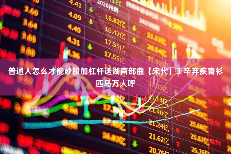 普通人怎么才能炒股加杠杆送湖南部曲【宋代】3 辛弃疾青衫匹马万人呼